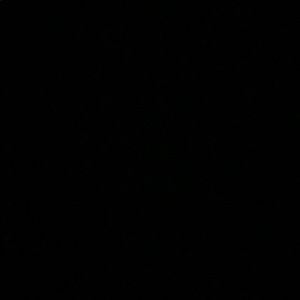 Meet your Posher, Amari